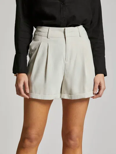 Weekend Los Angeles Vincent Shorts In Chateau Grey In Beige