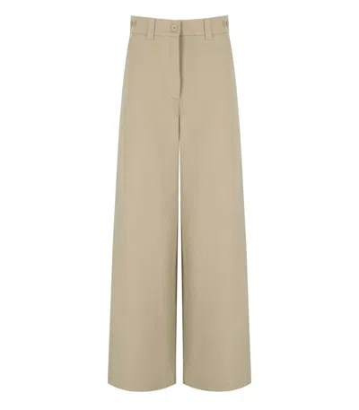 Weekend Max Mara Alfeo Beige Pants In Brown