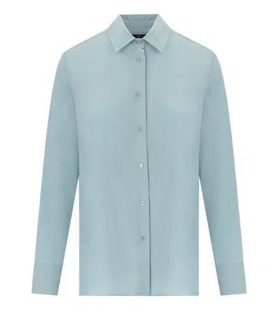 Weekend Max Mara Almina Anice Shirt In Brown