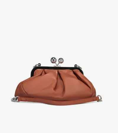 Weekend Max Mara Bags In Brown