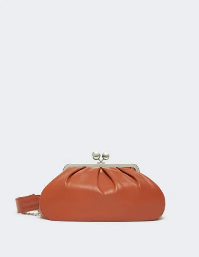 Weekend Max Mara Bags In Brown