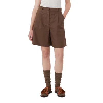 Weekend Max Mara Belt Loop Shorts In Brown