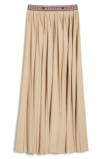 WEEKEND MAX MARA WEEKEND MAX MARA BLEU PLEATED MAXI SKIRT