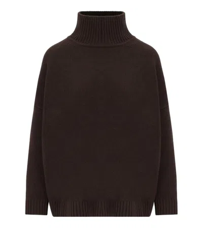 Weekend Max Mara Borgia Chocolate Turtleneck Sweater In Brown