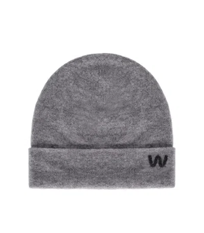 Weekend Max Mara Caimanone Grey Beanie In Gray