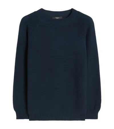 Weekend Max Mara Cotton Knitted Sweater In Blue