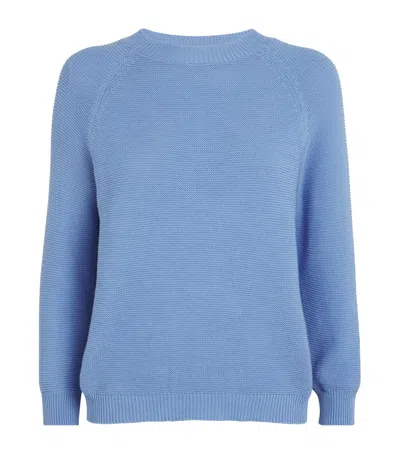 Weekend Max Mara Cotton Sweater In Blue