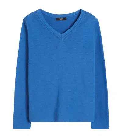 Weekend Max Mara Cotton V-neck Sweater In Blue