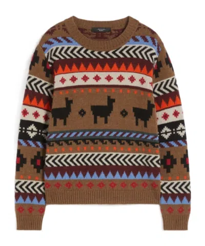 Weekend Max Mara Crew Neck Long Sleeve Sweater In Brown
