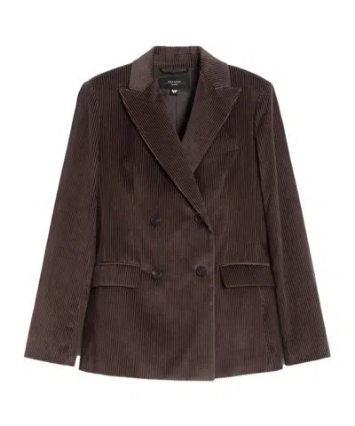 Weekend Max Mara Double-breasted Velvet Blazer In Brown