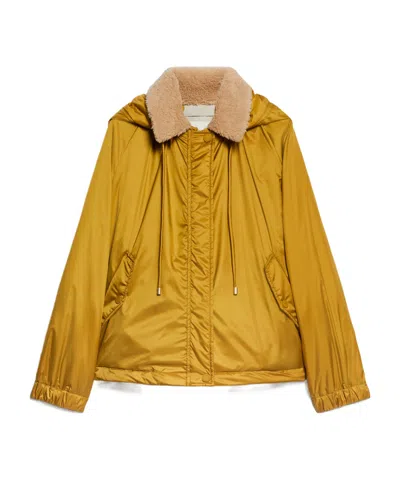 Weekend Max Mara Double-sided Cotton Clothes In Brown