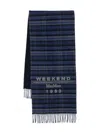Weekend Max Mara Fringed Scarf In Blue