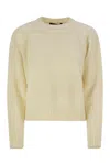 Weekend Max Mara Crewneck Long In Beige