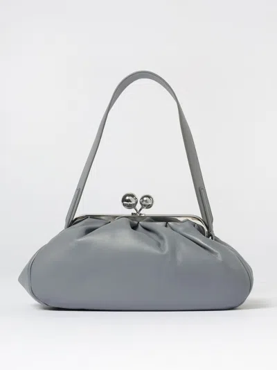 Weekend Max Mara Handbag Woman  In Blue