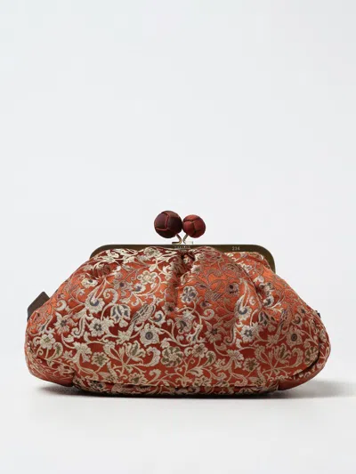 Weekend Max Mara Handbag Woman  In Brown