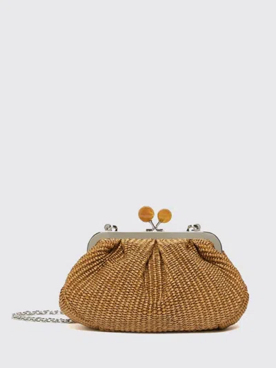 Weekend Max Mara Handbag Woman  In Brown