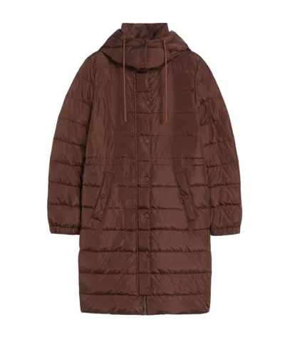 Weekend Max Mara Hooded Cotton Jacket In Brown