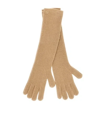 Weekend Max Mara Knitted Gloves In Brown