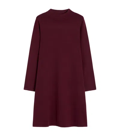 Weekend Max Mara Knitted Mini Dress In Red