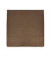 Weekend Max Mara Latino Brown Scarf In Brown