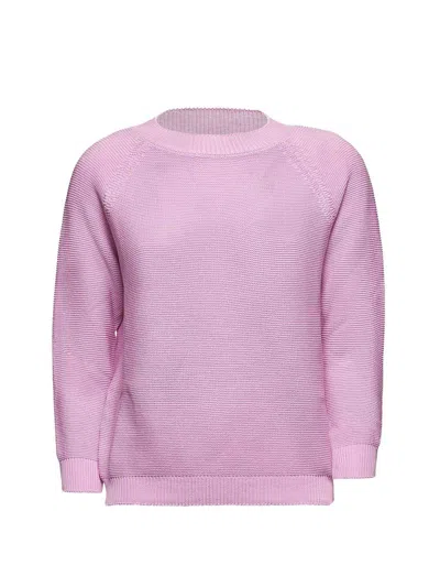 Weekend Max Mara Linz Crewneck Knit Jumper In Pink