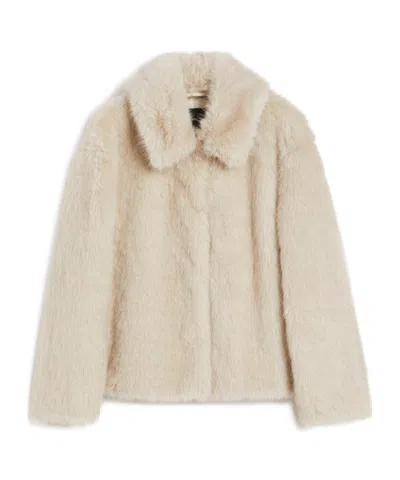 Weekend Max Mara Long-sleeved Cropped Jacket In Multi