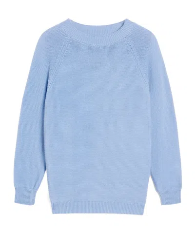 Weekend Max Mara Long-sleeved Sweater In Blue