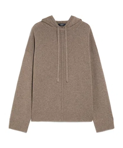 Weekend Max Mara Jerez Hooded Wool Blend Sweater In Brown