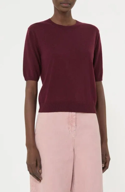Weekend Max Mara Omens Bordeaux Marea Short-sleeves Wool And Cashmere Top In Burgundy