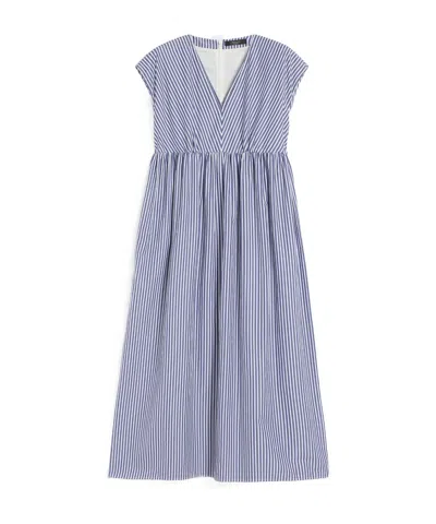 Weekend Max Mara Molo Stripe Cotton Dress In Blue
