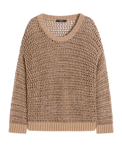 Weekend Max Mara Mesh Knitwear In Brown