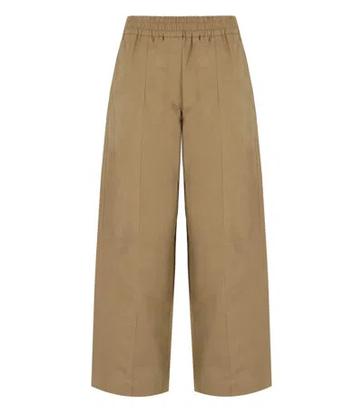 Weekend Max Mara Milva Terra Cropped Pants In Brown