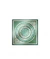 Weekend Max Mara Modal And Printed Silk Shawl In Green