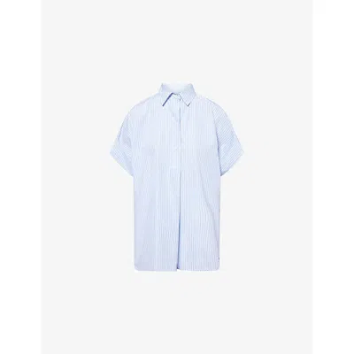 Weekend Max Mara Omens Light Blue Ardea Stripe-print Cotton-poplin Shirt