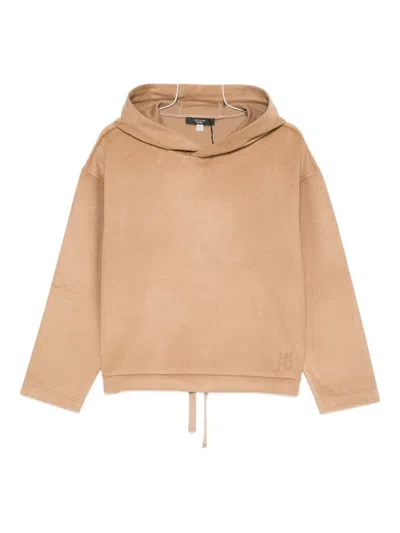 Weekend Max Mara Oscuri Sweater In Brown