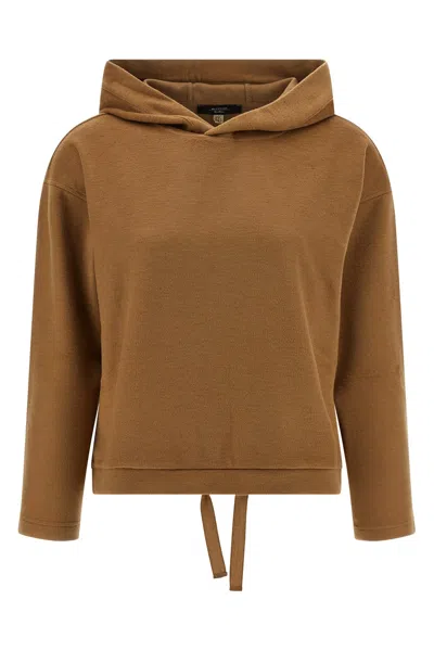 Weekend Max Mara Oscuri Drawstring Hoodie In Brown