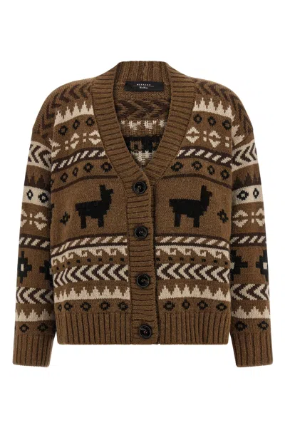 Weekend Max Mara V-neck Cardigan With Ribbed Cuffs And Hem In Brown