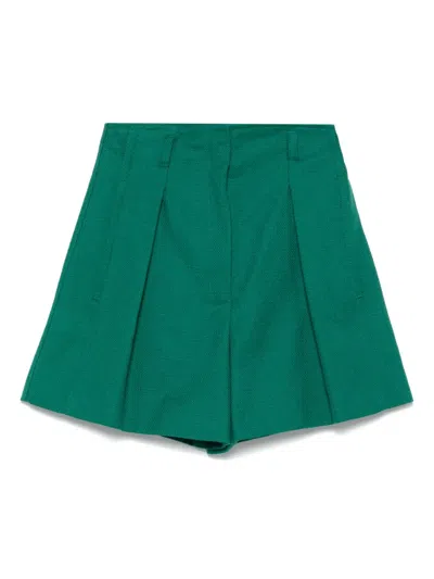 Weekend Max Mara Pandoro Shorts