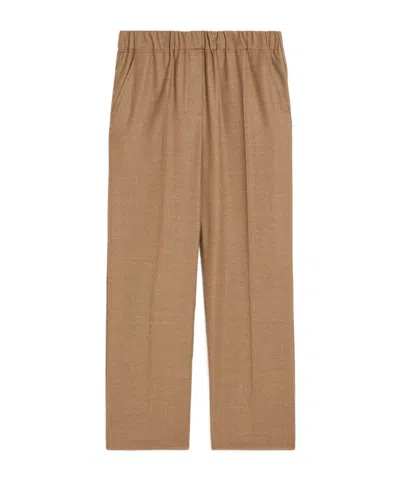 Weekend Max Mara Pantalon En Flanelle De Laine In Brown