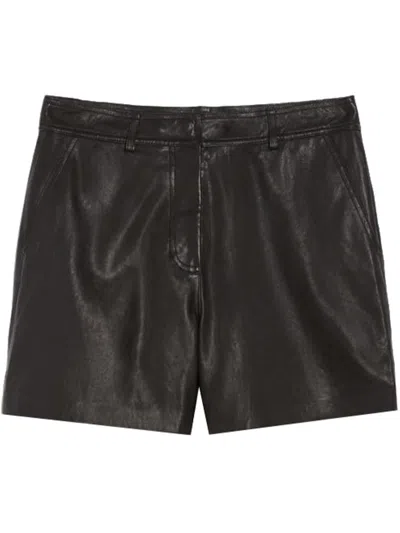 Weekend Max Mara Belt-loop Shorts In Black