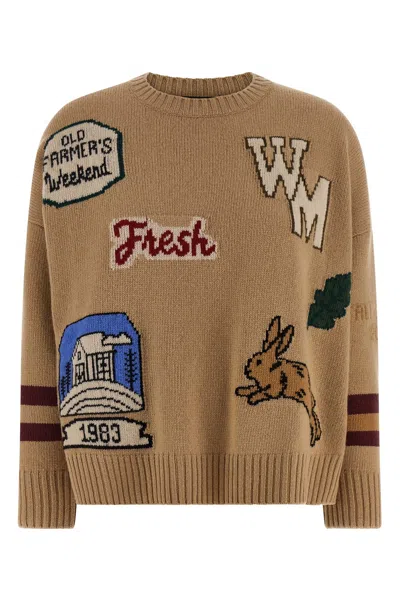 Weekend Max Mara Graphic Crew Neck Long Sleeve Knit Sweater In Brown