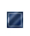 Weekend Max Mara Printed Silk Scarf In Blue