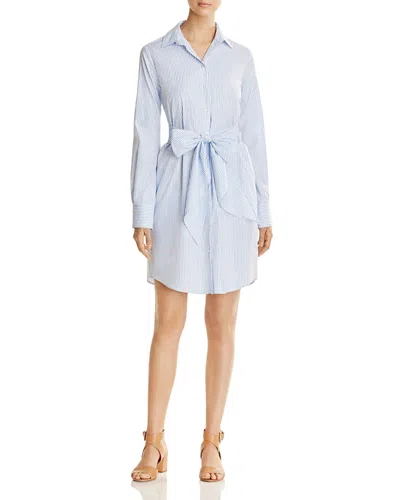 Weekend Max Mara Reus Striped Poplin Shirt Dress - Exclusive In Blue
