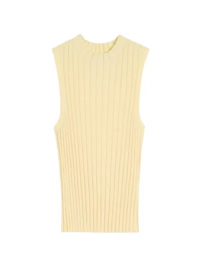 Weekend Max Mara Ribbed Knitted Top In Multi