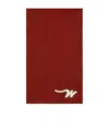 Weekend Max Mara Ribbed Scarf In Brown