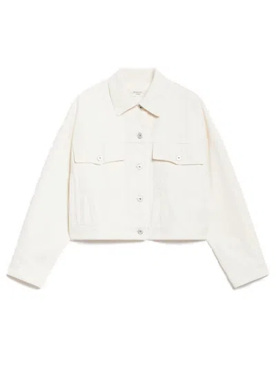 WEEKEND MAX MARA WEEKEND MAX MARA RIBE JACKET AVENA
