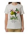 Weekend Max Mara Short-sleeved T-shirt In Multicolor