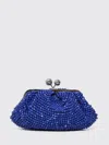 Weekend Max Mara Eschimo Beaded Handbag In Blue