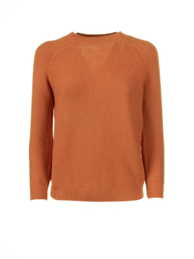 Weekend Max Mara Soft Orange Cotton Sweater In Tulipano