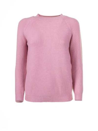 Weekend Max Mara Soft Pink Cotton Sweater In Petalo